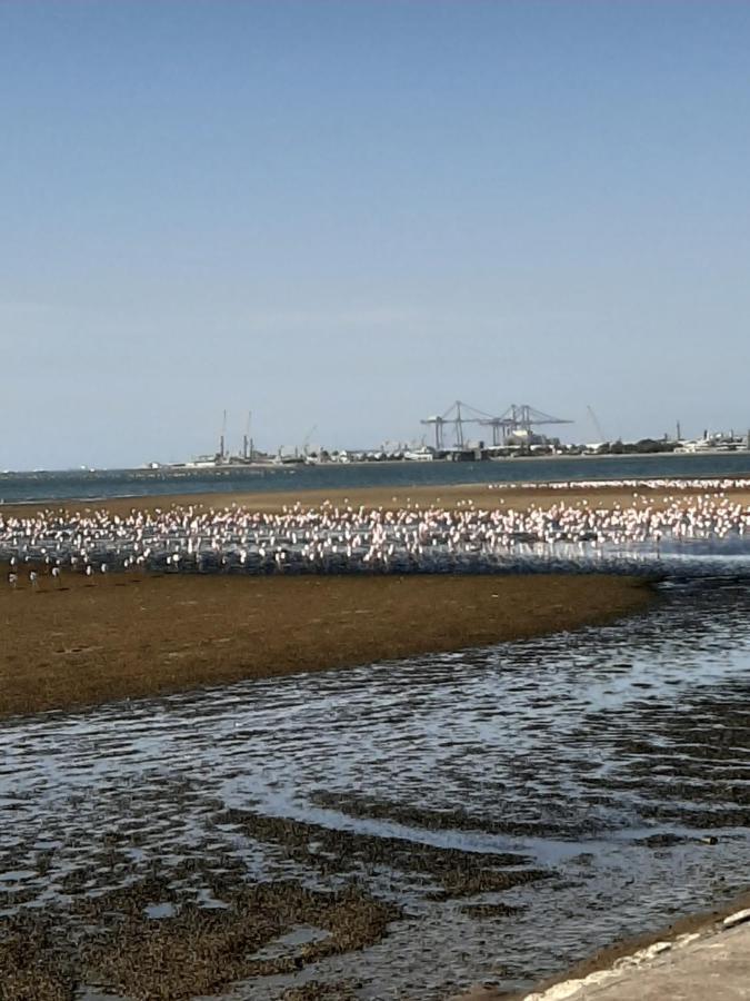 Elilo Bed And Breakfast Walvis Bay Zewnętrze zdjęcie